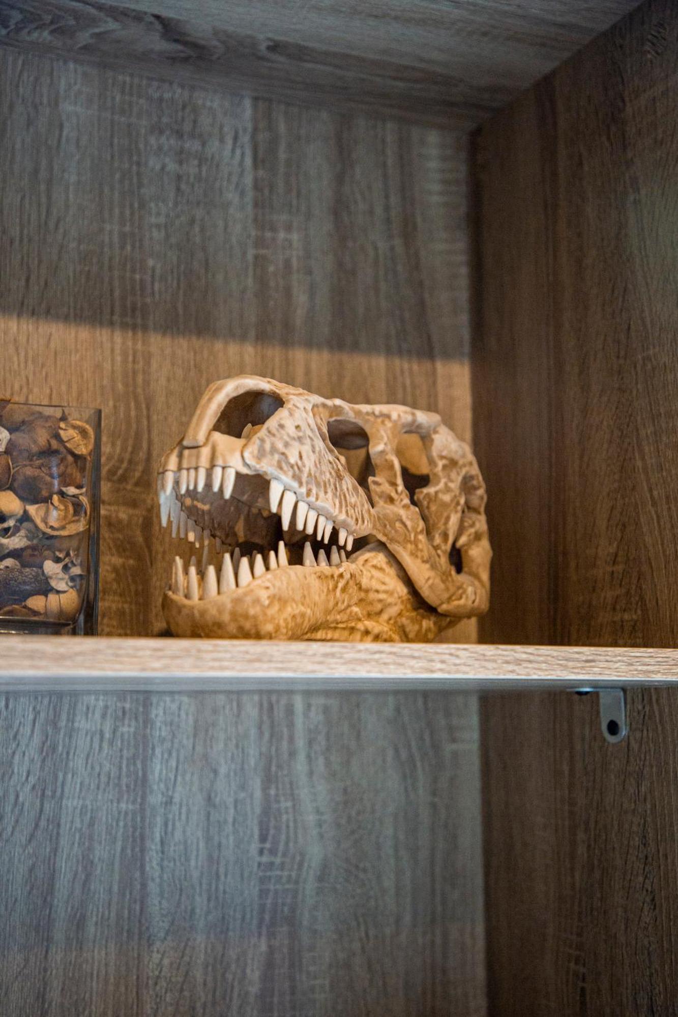Appartement Jurassique *