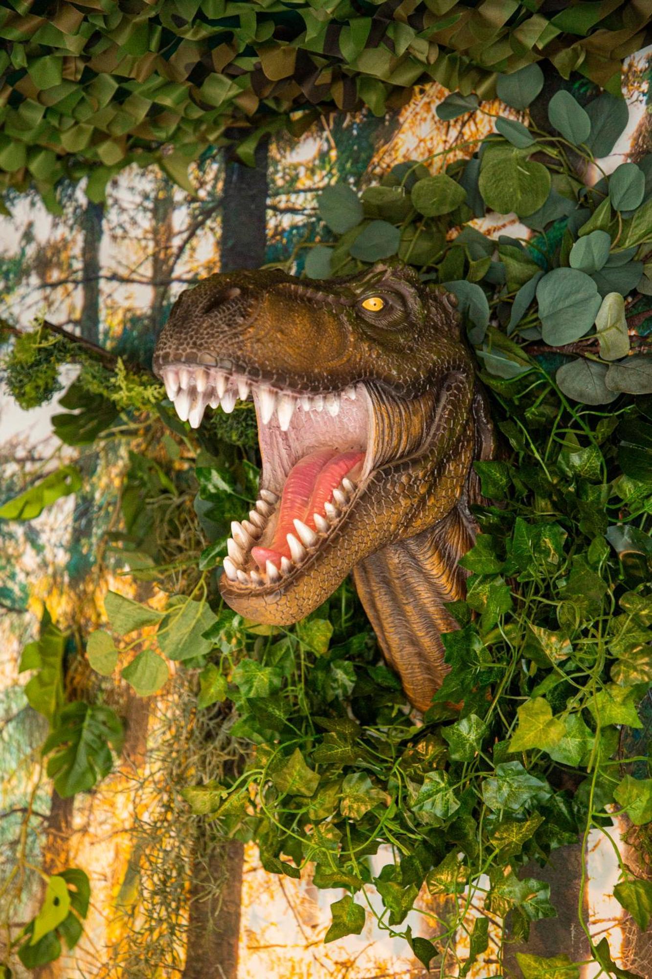 Jurassique Appartement